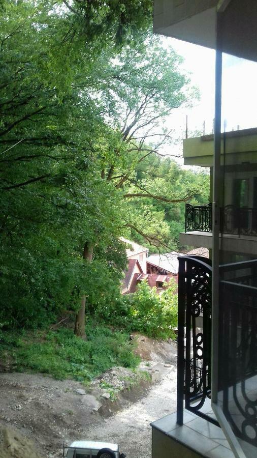 Apartament Ramona Appartement Braşov Buitenkant foto